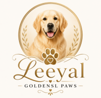 chatgpt image jul 30, 2026, 04 54 16 pm